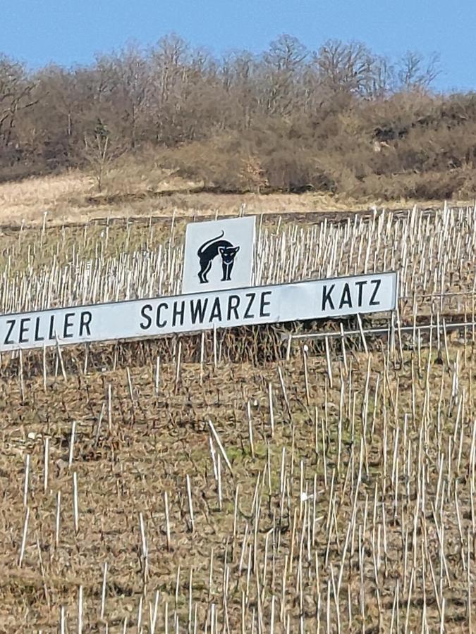 Fewo Siemens Mosel Zell an der Mosel Exterior foto